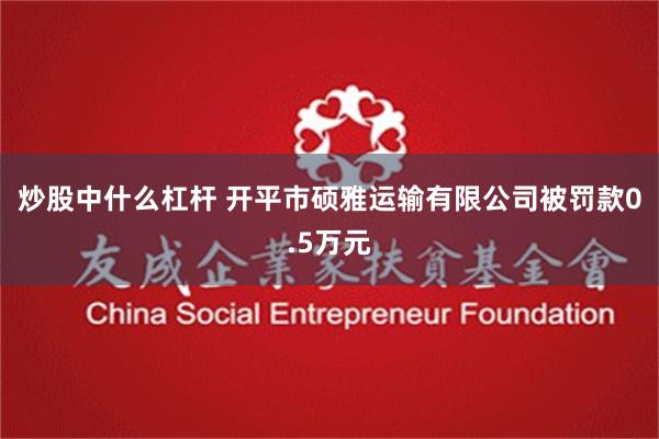 炒股中什么杠杆 开平市硕雅运输有限公司被罚款0.5万元