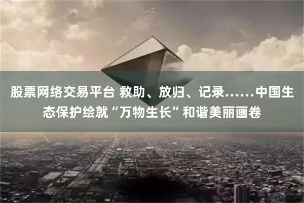 股票网络交易平台 救助、放归、记录……中国生态保护绘就“万物生长”和谐美丽画卷