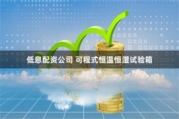 低息配资公司 可程式恒温恒湿试验箱