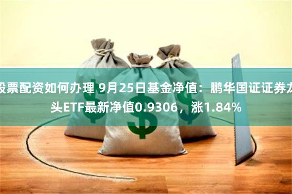 股票配资如何办理 9月25日基金净值：鹏华国证证券龙头ETF最新净值0.9306，涨1.84%