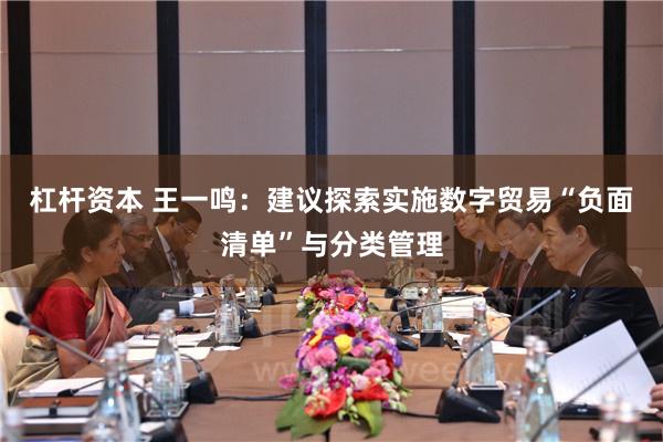 杠杆资本 王一鸣：建议探索实施数字贸易“负面清单”与分类管理