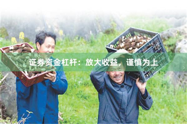 证券资金杠杆：放大收益，谨慎为上