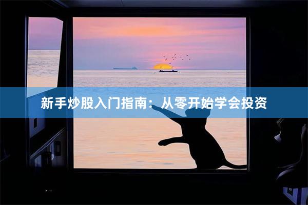新手炒股入门指南：从零开始学会投资