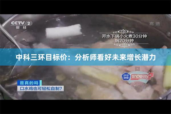 中科三环目标价：分析师看好未来增长潜力