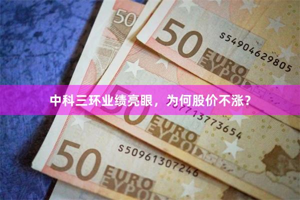 中科三环业绩亮眼，为何股价不涨？