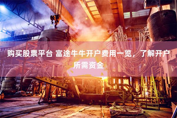 购买股票平台 富途牛牛开户费用一览，了解开户所需资金
