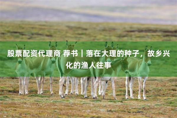 股票配资代理商 荐书｜落在大理的种子，故乡兴化的渔人往事
