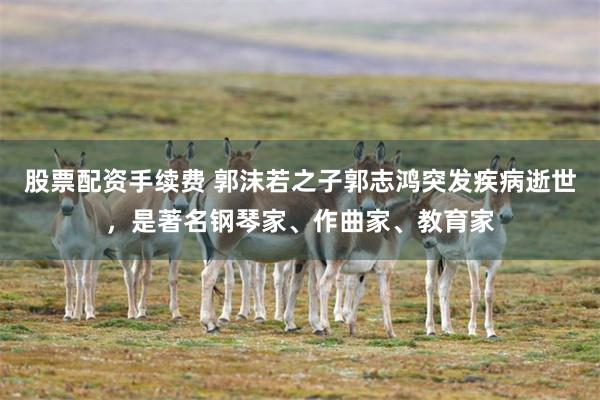 股票配资手续费 郭沫若之子郭志鸿突发疾病逝世，是著名钢琴家、作曲家、教育家