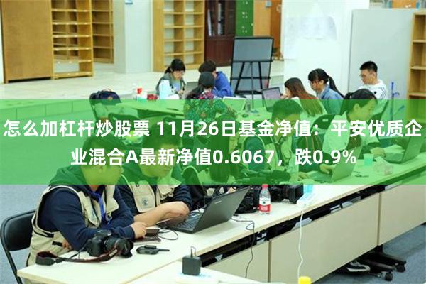 怎么加杠杆炒股票 11月26日基金净值：平安优质企业混合A最新净值0.6067，跌0.9%