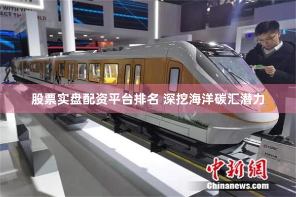 股票实盘配资平台排名 深挖海洋碳汇潜力