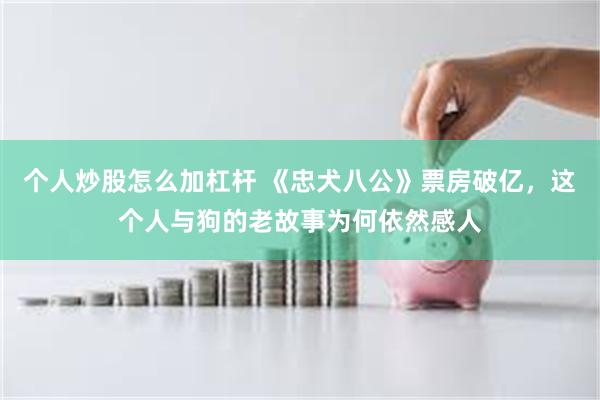 个人炒股怎么加杠杆 《忠犬八公》票房破亿，这个人与狗的老故事为何依然感人