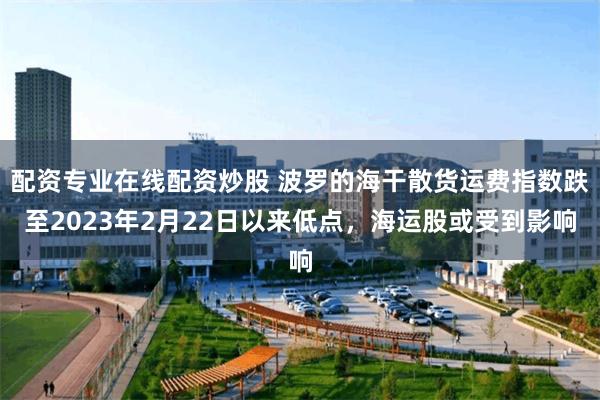 配资专业在线配资炒股 波罗的海干散货运费指数跌至2023年2月22日以来低点，海运股或受到影响
