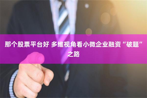 那个股票平台好 多维视角看小微企业融资“破题”之路