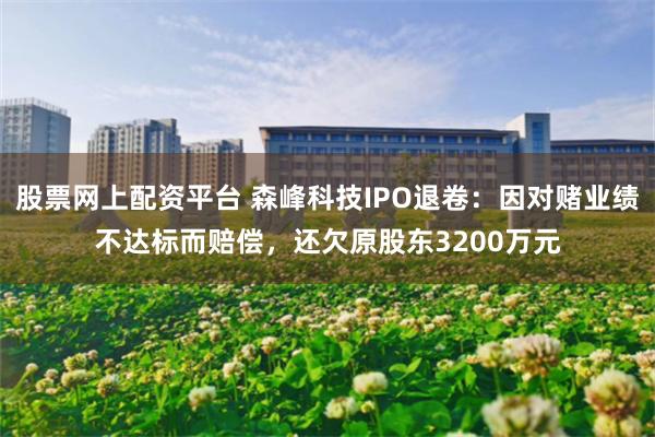 股票网上配资平台 森峰科技IPO退卷：因对赌业绩不达标而赔偿，还欠原股东3200万元