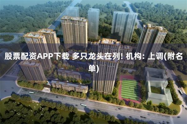 股票配资APP下载 多只龙头在列! 机构: 上调(附名单)