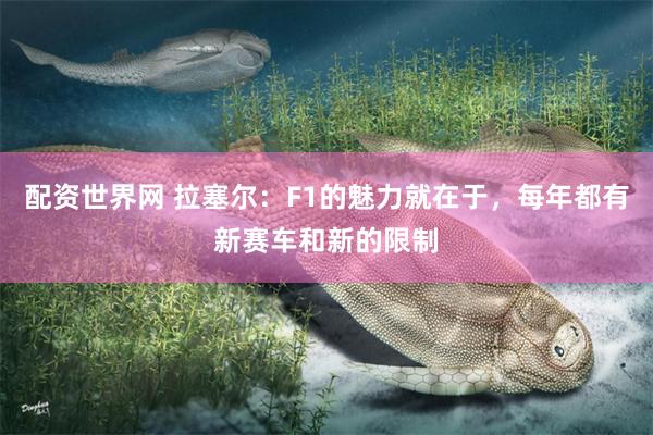 配资世界网 拉塞尔：F1的魅力就在于，每年都有新赛车和新的限制