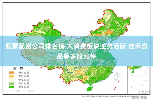 股票配资公司排名榜 大消费板块逆势活跃 佳禾食品等多股涨停
