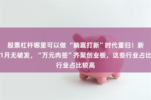 股票杠杆哪里可以做 “躺赢打新”时代重归！新股近1月无破发，“万元肉签”齐聚创业板，这些行业占比较高