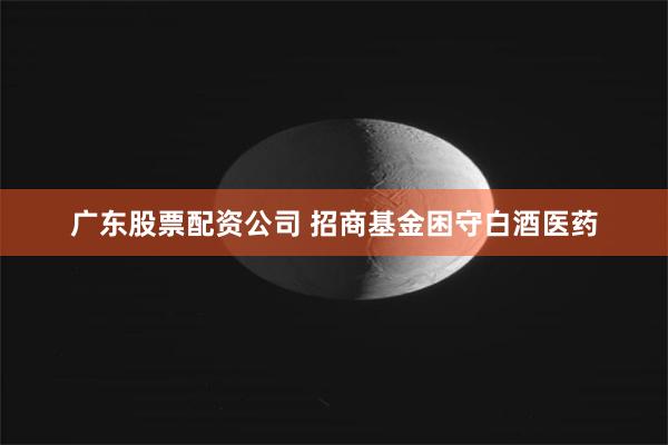 广东股票配资公司 招商基金困守白酒医药