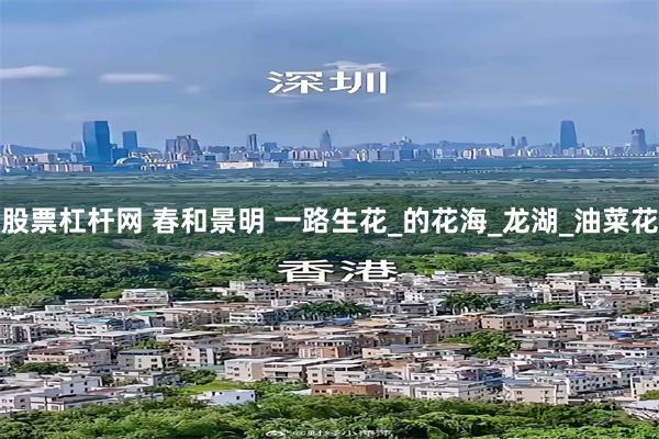 股票杠杆网 春和景明 一路生花_的花海_龙湖_油菜花