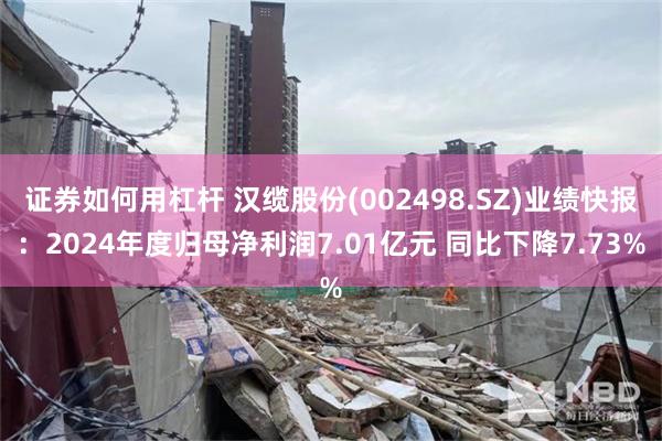 证券如何用杠杆 汉缆股份(002498.SZ)业绩快报：2024年度归母净利润7.01亿元 同比下降7.73%