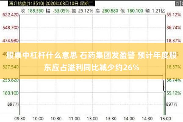 股票中杠杆什么意思 石药集团发盈警 预计年度股东应占溢利同比减少约26%