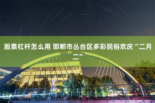 股票杠杆怎么用 邯郸市丛台区多彩民俗欢庆“二月二”