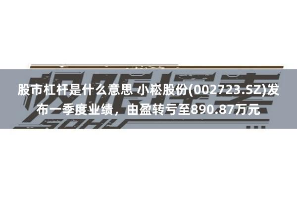 股市杠杆是什么意思 小崧股份(002723.SZ)发布一季度业绩，由盈转亏至890.87万元