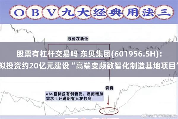 股票有杠杆交易吗 东贝集团(601956.SH)：拟投资约20亿元建设“高端变频数智化制造基地项目”