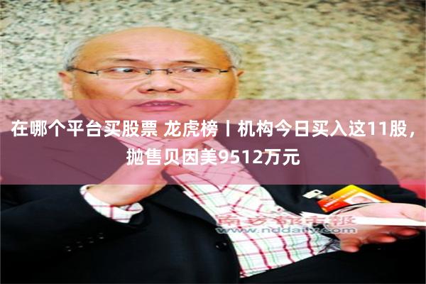在哪个平台买股票 龙虎榜丨机构今日买入这11股，抛售贝因美9512万元