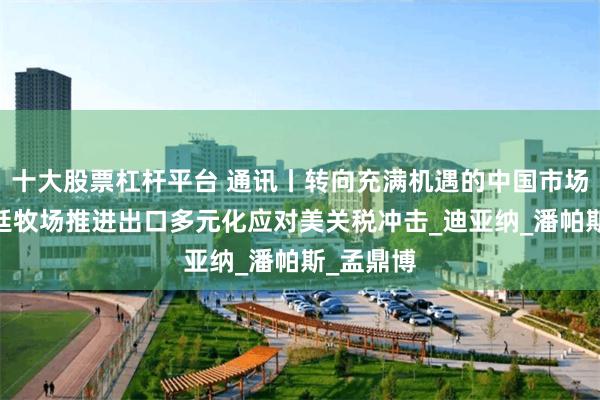 十大股票杠杆平台 通讯丨转向充满机遇的中国市场——阿根廷牧场推进出口多元化应对美关税冲击_迪亚纳_潘帕斯_孟鼎博