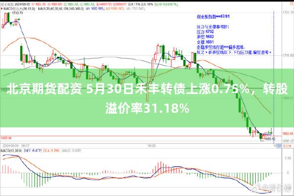 北京期货配资 5月30日禾丰转债上涨0.75%，转股溢价率31.18%