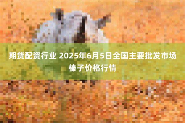 期货配资行业 2025年6月5日全国主要批发市场榛子价格行情