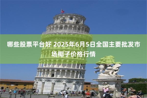 哪些股票平台好 2025年6月5日全国主要批发市场椰子价格行情
