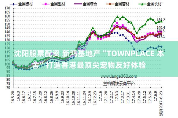 沈阳股票配资 新鸿基地产“TOWNPLACE 本舍”打造香港最顶尖宠物友好体验