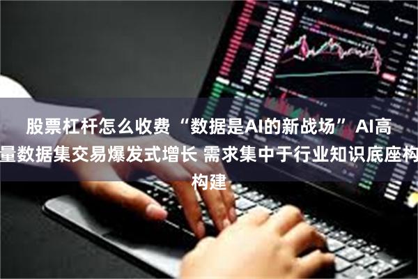 股票杠杆怎么收费 “数据是AI的新战场” AI高质量数据集交易爆发式增长 需求集中于行业知识底座构建