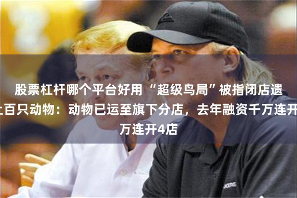 股票杠杆哪个平台好用 “超级鸟局”被指闭店遗留上百只动物：动物已运至旗下分店，去年融资千万连开4店