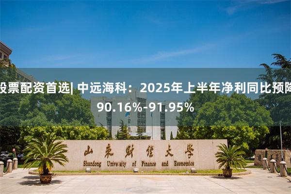 股票配资首选| 中远海科：2025年上半年净利同比预降90.16%-91.95%