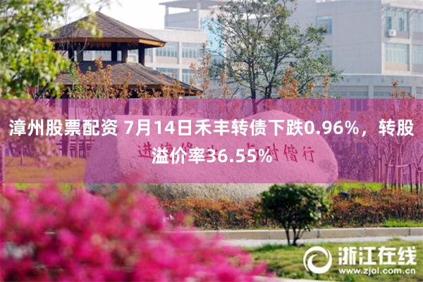 漳州股票配资 7月14日禾丰转债下跌0.96%，转股溢价率36.55%