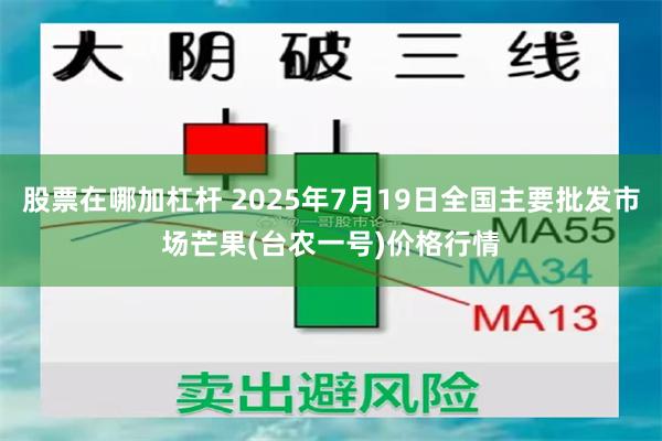 股票在哪加杠杆 2025年7月19日全国主要批发市场芒果(台农一号)价格行情