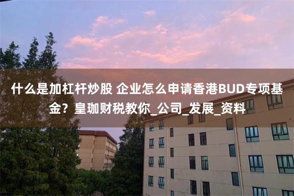 什么是加杠杆炒股 企业怎么申请香港BUD专项基金？皇珈财税教你_公司_发展_资料