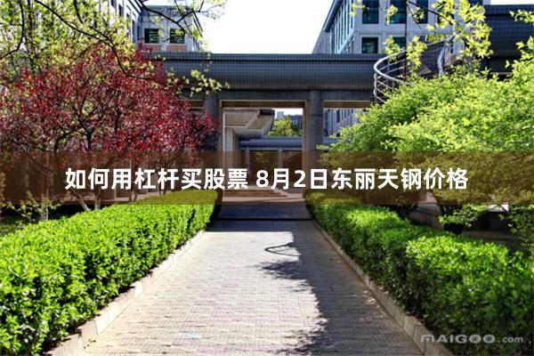 如何用杠杆买股票 8月2日东丽天钢价格