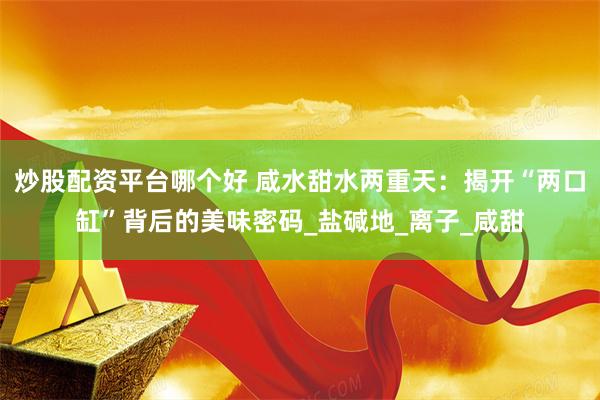 炒股配资平台哪个好 咸水甜水两重天：揭开“两口缸”背后的美味密码_盐碱地_离子_咸甜