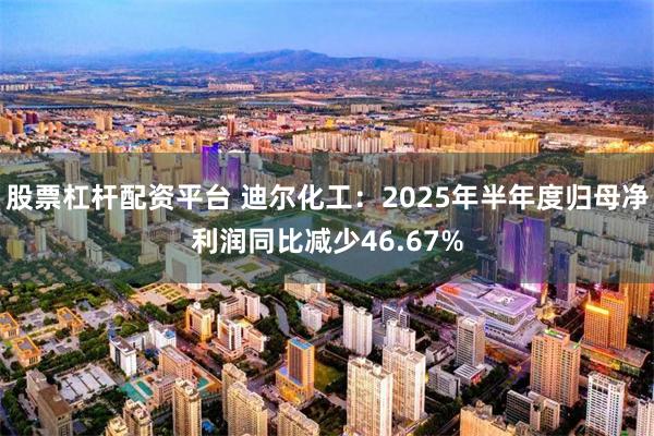 股票杠杆配资平台 迪尔化工：2025年半年度归母净利润同比减少46.67%