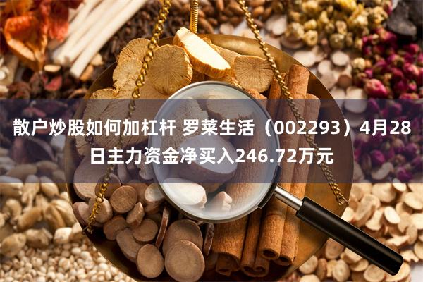 散户炒股如何加杠杆 罗莱生活（002293）4月28日主力资金净买入246.72万元