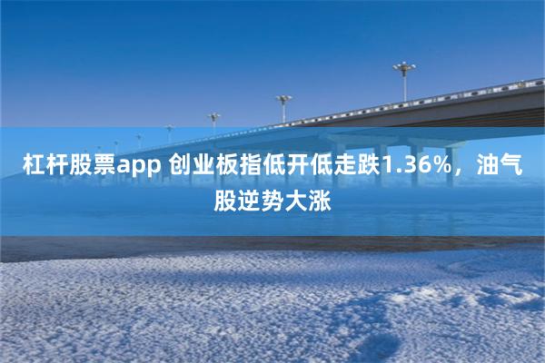 杠杆股票app 创业板指低开低走跌1.36%，油气股逆势大涨