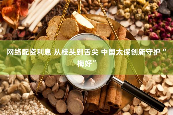 网络配资利息 从枝头到舌尖 中国太保创新守护“梅好”