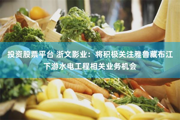 投资股票平台 浙文影业：将积极关注雅鲁藏布江下游水电工程相关业务机会