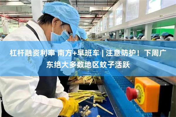 杠杆融资利率 南方+早班车 | 注意防护！下周广东绝大多数地区蚊子活跃
