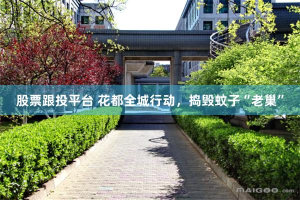 股票跟投平台 花都全城行动，捣毁蚊子“老巢”